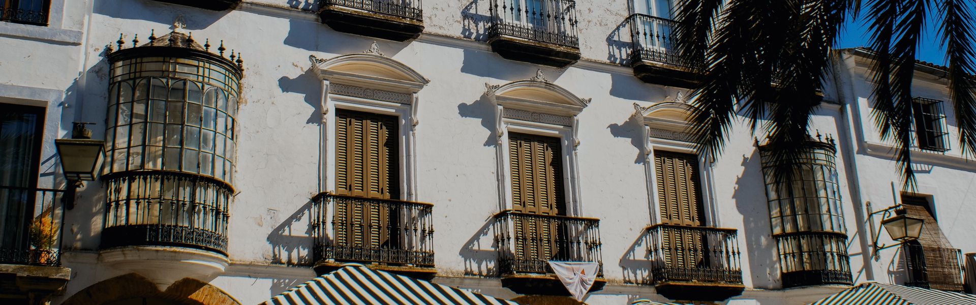 &nbsp;